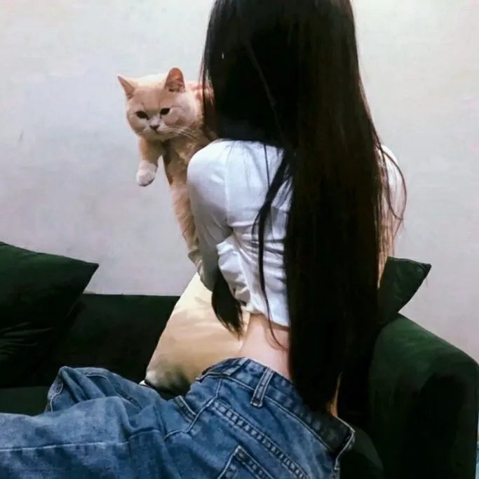 小猪扑满的愿望